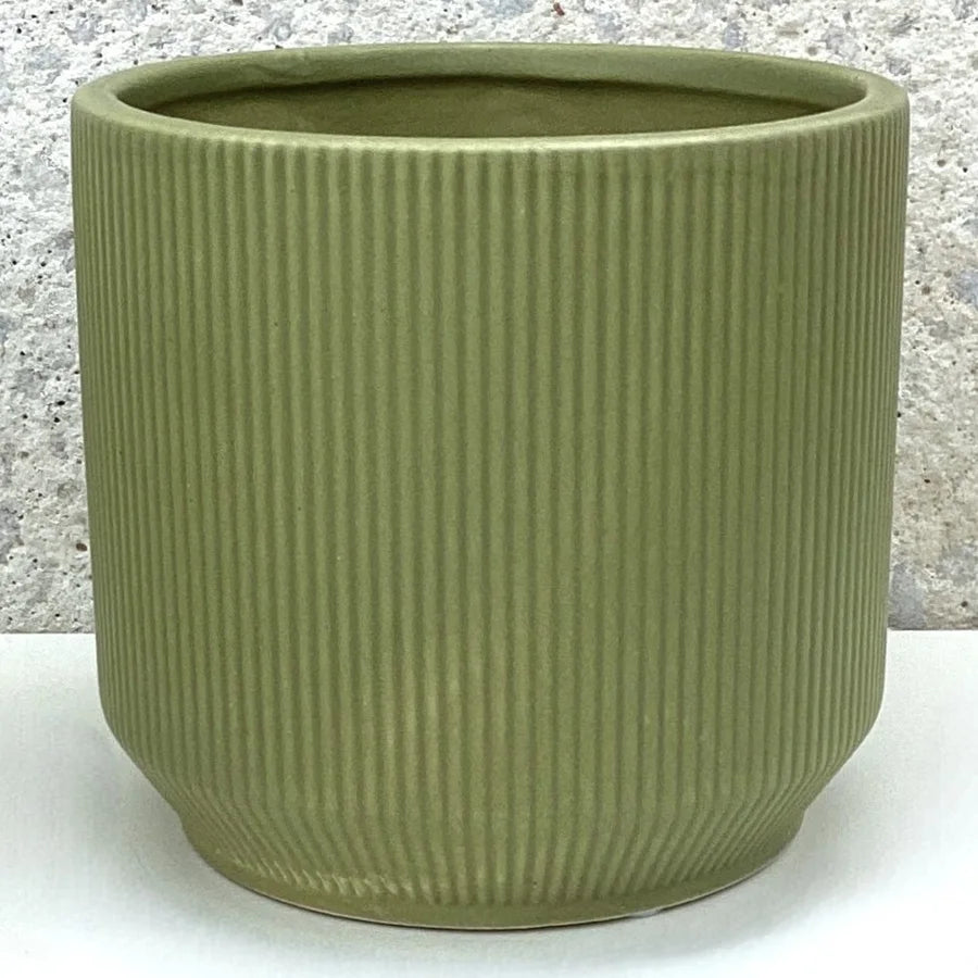 Matte Green Ribbed Container