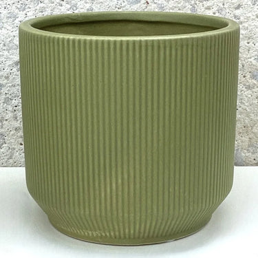 Matte Green Ribbed Container