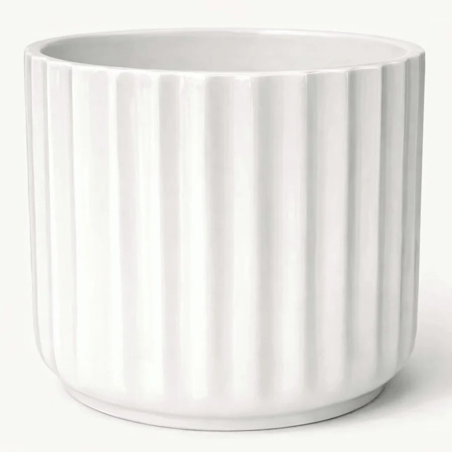 Shiny White Ribbed Pot