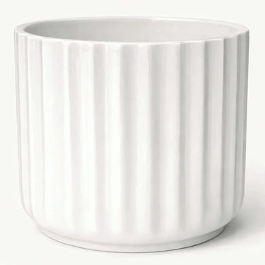 Shiny White Ribbed Pot