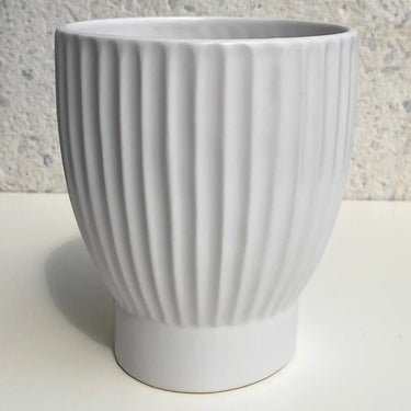 Matte White Ribbed Container