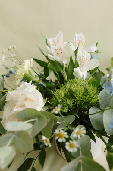 Waterton | White, Blues and Greens