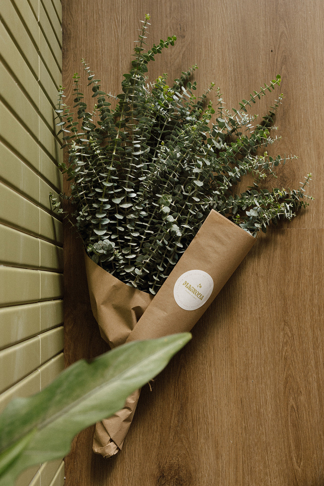 Stay in Bloom | Eucalyptus