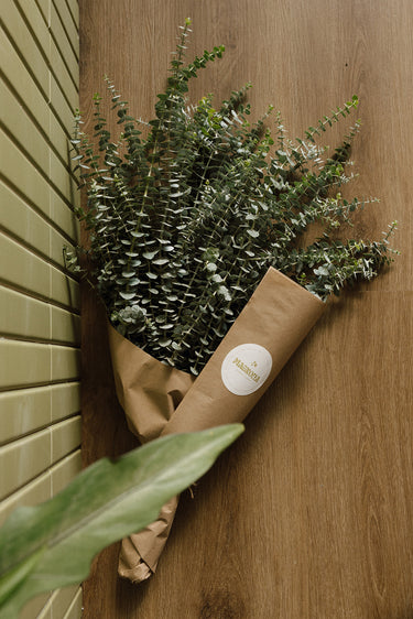 Stay in Bloom | Eucalyptus