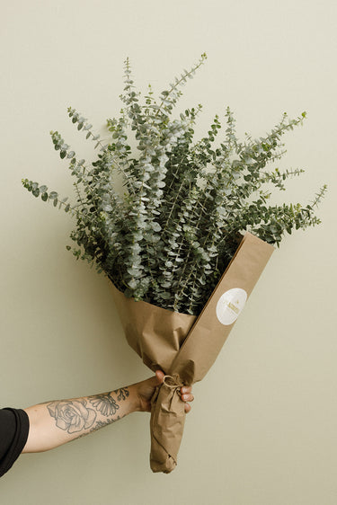 Eucalyptus